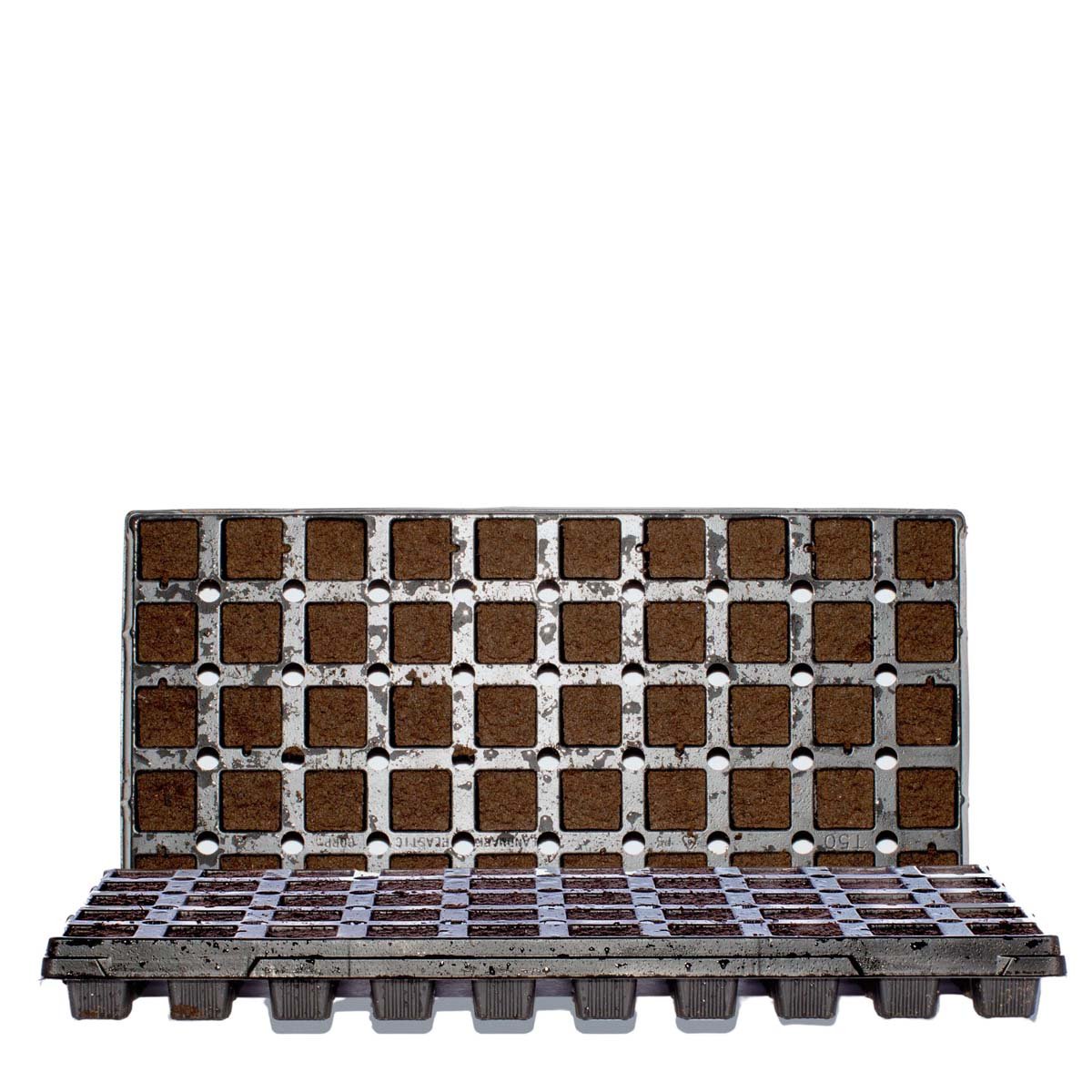 Jiffy RediRooted Aerating Plugs - 50 cell tray of square propagation plugs