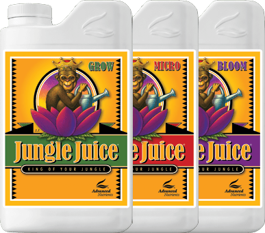 Jungle Juice® Bloom - Black Label Supply llc