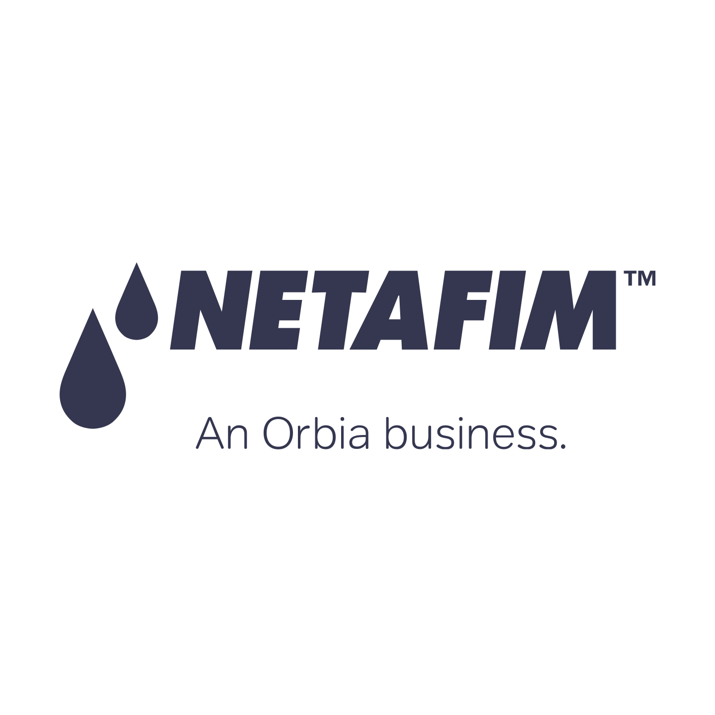 Netafim 1.5 in Plastic Screen Filter Replacement Screen (155 Mesh) - Irrigation Filters