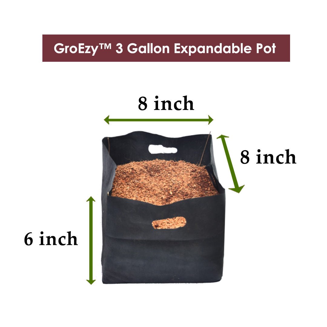 GroEzy - Expandable Coco Pot in Fabric Bag - product image 4