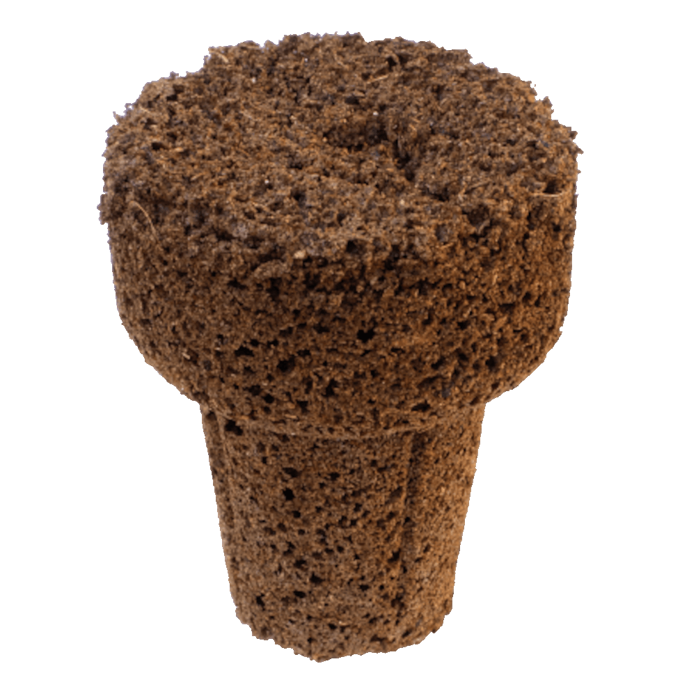 IHORT Q Cloner Q Plug