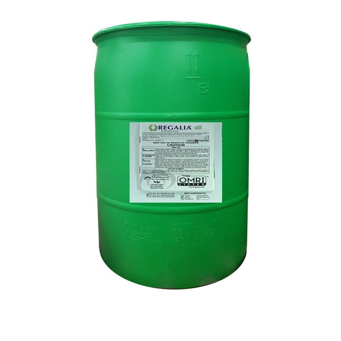 Regalia CG - Black Label Supply llc