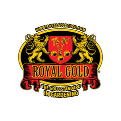 Royal Gold - Crown Jewels Bloom 1-4-2