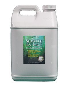 Seaweed Organic 11% 2.5 Gal (2/cs) - Black Label Supply llc