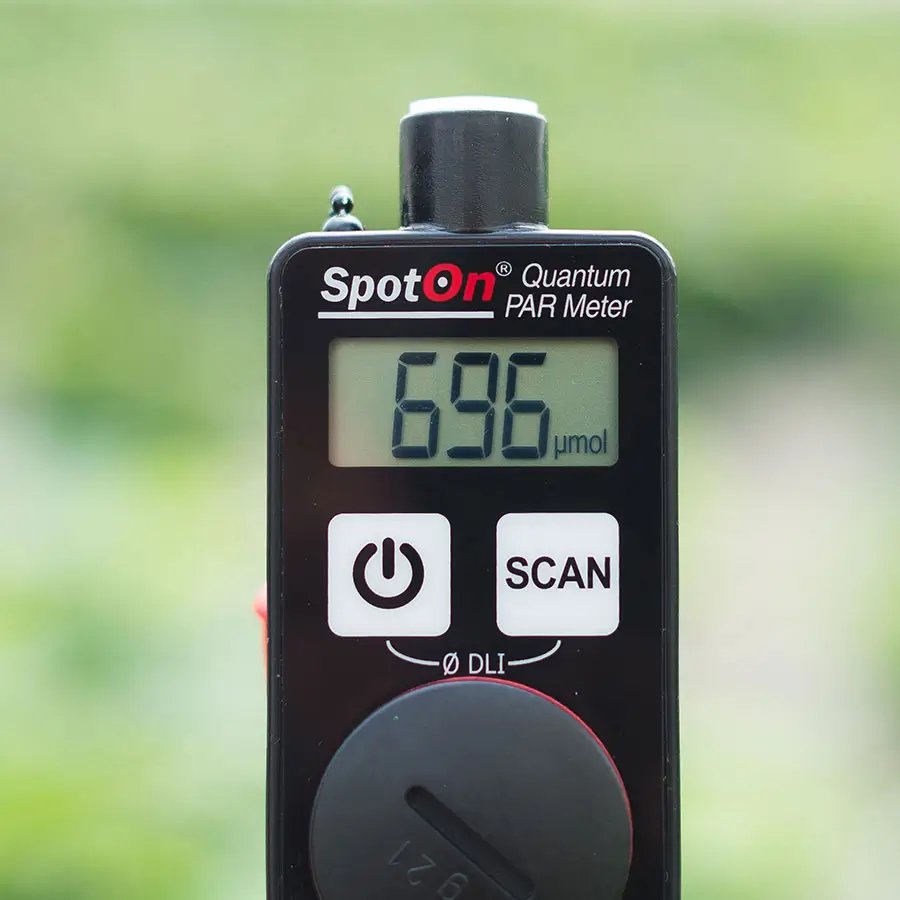 SpotOn Quantum PAR Light Meter - LCD closeup showing a PAR reading in umol