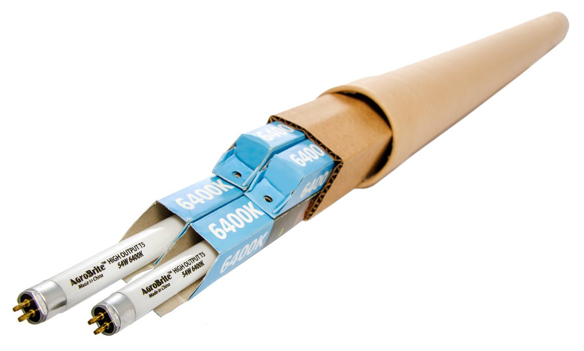 T5 4' 6400K Bulb (case of 4) - Black Label Supply llc